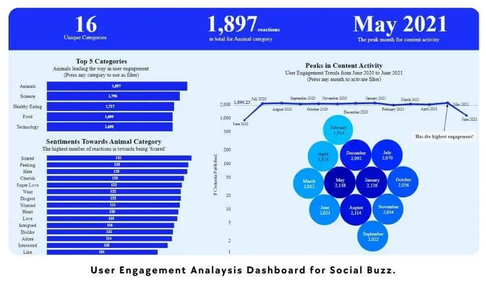 Accenture Dashboard Analysis